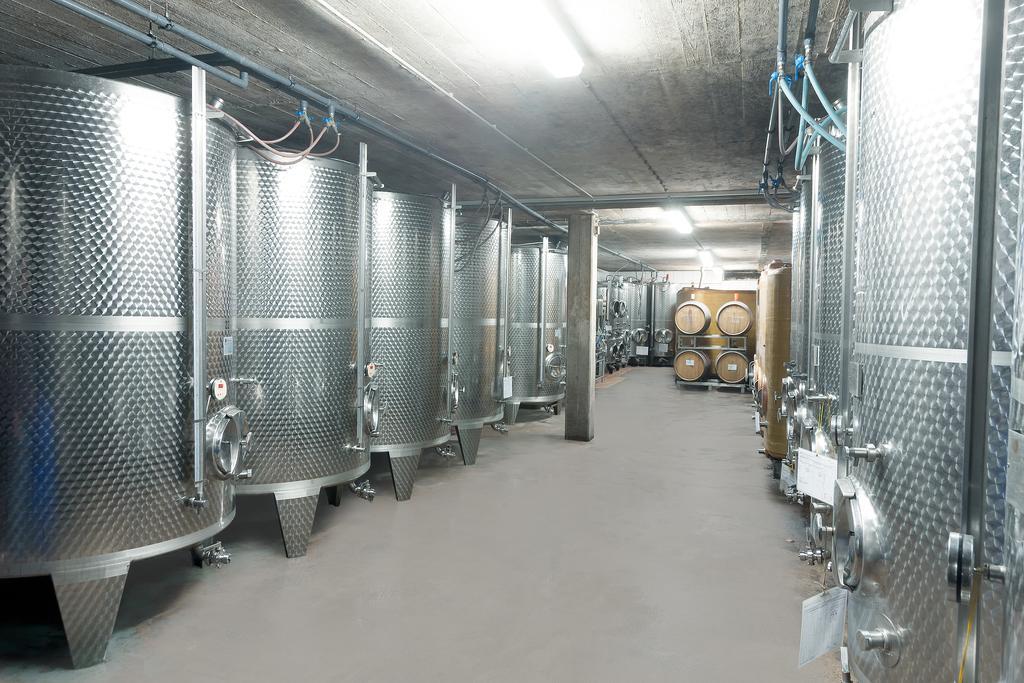 Pension Und Weingut Moselblick Brauneberg Eksteriør billede