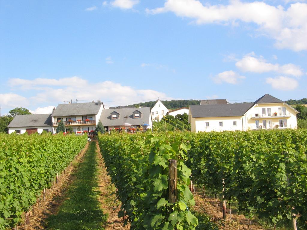 Pension Und Weingut Moselblick Brauneberg Eksteriør billede